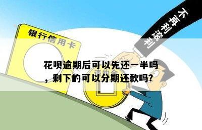 花呗逾期后可以先还一半吗，剩下的可以分期还款吗？