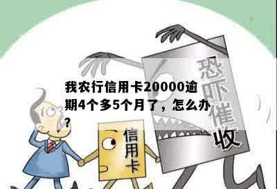 我农行信用卡20000逾期4个多5个月了，怎么办？