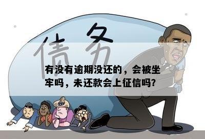 有没有逾期没还的，会被坐牢吗，未还款会上征信吗？