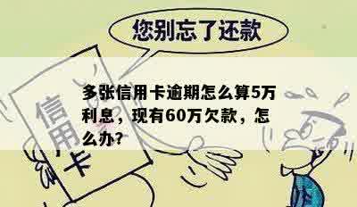 多张信用卡逾期怎么算5万利息，现有60万欠款，怎么办？