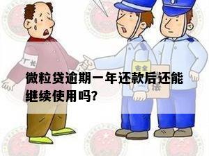 微粒贷逾期一年还款后还能继续使用吗？