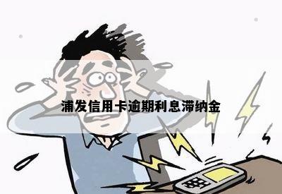 浦发信用卡逾期利息滞纳金