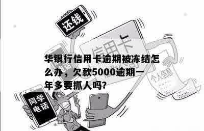 华银行信用卡逾期被冻结怎么办，欠款5000逾期一年多要抓人吗？