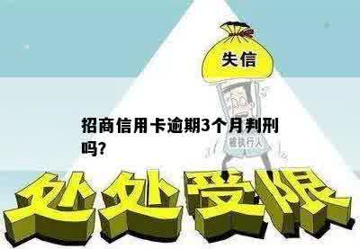 招商信用卡逾期3个月判刑吗？