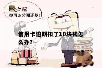 信用卡逾期扣了10块钱怎么办？