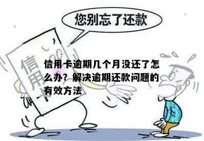 信用卡逾期几个月没还了怎么办？解决逾期还款问题的有效方法