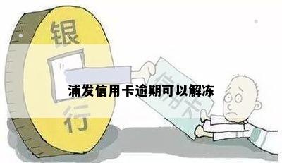 浦发信用卡逾期可以解冻