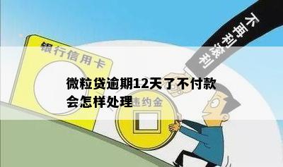 微粒贷逾期12天了不付款会怎样处理