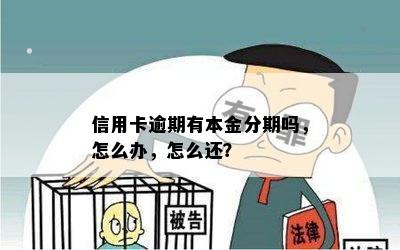 信用卡逾期有本金分期吗，怎么办，怎么还？