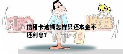 信用卡逾期怎样只还本金不还利息？