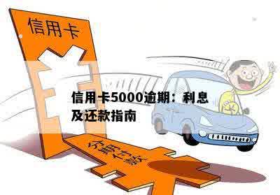 信用卡5000逾期：利息及还款指南