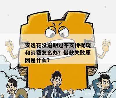 安逸花没逾期过不支持提现和消费怎么办？借款失败原因是什么？