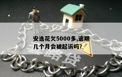 安逸花欠5000多,逾期几个月会被起诉吗？