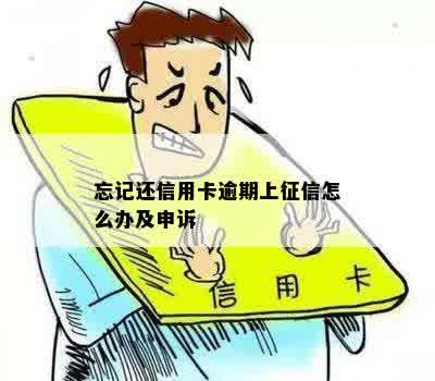 忘记还信用卡逾期上征信怎么办及申诉