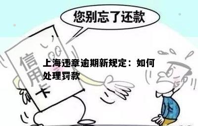 上海违章逾期新规定：如何处理罚款