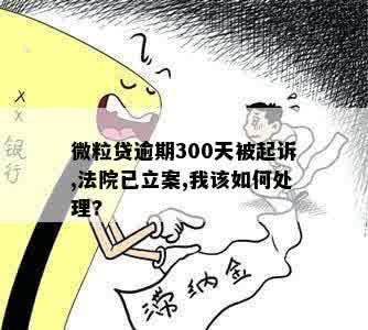 微粒贷逾期300天被起诉,法院已立案,我该如何处理?