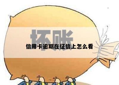 信用卡逾期在征信上怎么看