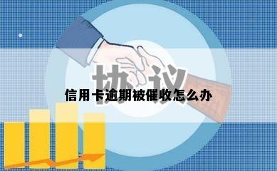 信用卡逾期被催收怎么办