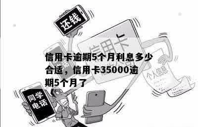 信用卡逾期5个月利息多少合适，信用卡35000逾期5个月了