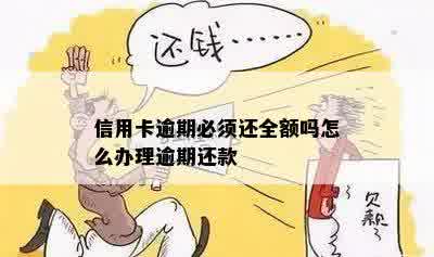 信用卡逾期必须还全额吗怎么办理逾期还款