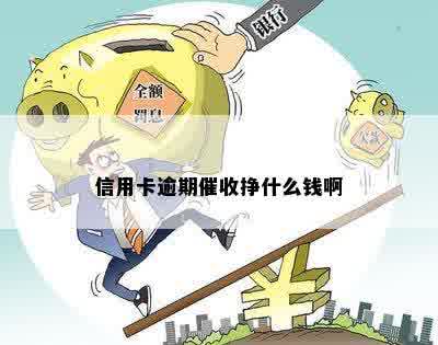 信用卡逾期催收挣什么钱啊