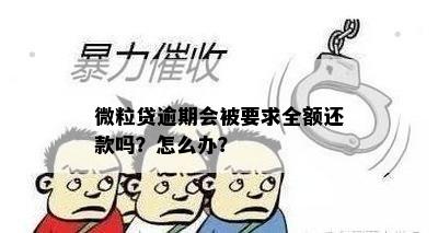 微粒贷逾期会被要求全额还款吗？怎么办？