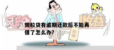 微粒贷有逾期还款后不能再借了怎么办？