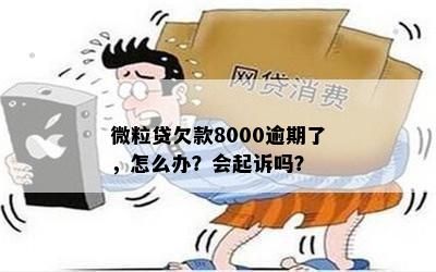 微粒贷欠款8000逾期了，怎么办？会起诉吗？