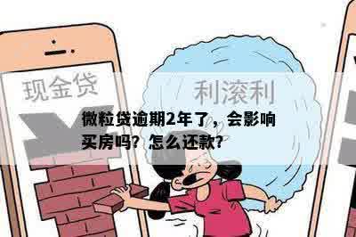 微粒贷逾期2年了，会影响买房吗？怎么还款？