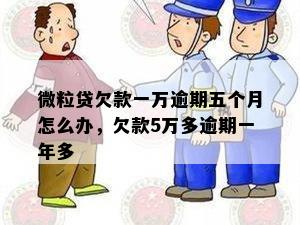 微粒贷欠款一万逾期五个月怎么办，欠款5万多逾期一年多