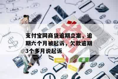 支付宝网商贷逾期立案，逾期六个月被起诉，欠款逾期3个多月说起诉