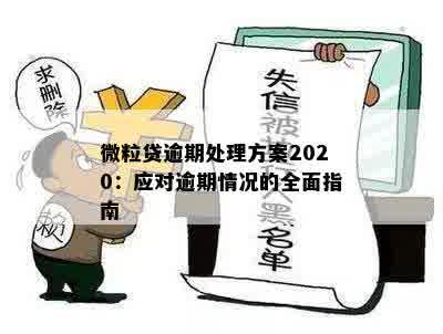 微粒贷逾期处理方案2020：应对逾期情况的全面指南