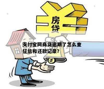 支付宝网商贷逾期了怎么查征信和还款记录？