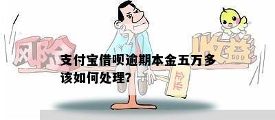 支付宝借呗逾期本金五万多该如何处理？