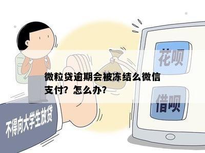 微粒贷逾期会被冻结么微信支付？怎么办？