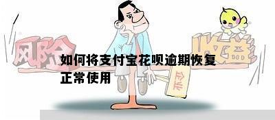 如何将支付宝花呗逾期恢复正常使用