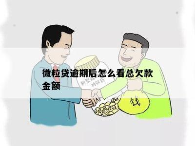 微粒贷逾期后怎么看总欠款金额