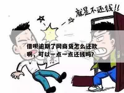 借呗逾期了网商贷怎么还款啊，可以一点一点还钱吗？