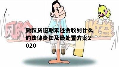 微粒贷逾期未还会收到什么的法律责任及最处置方案2020