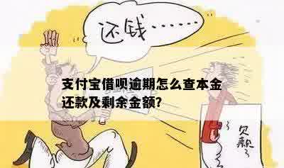 支付宝借呗逾期怎么查本金还款及剩余金额？