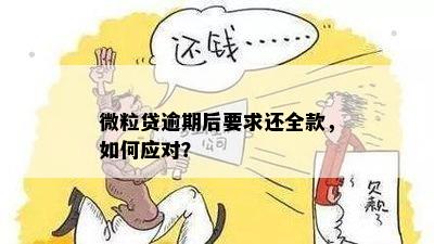 微粒贷逾期后要求还全款，如何应对？