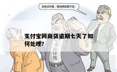 支付宝网商贷逾期七天了如何处理？