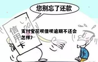 支付宝花呗借呗逾期不还会怎样？