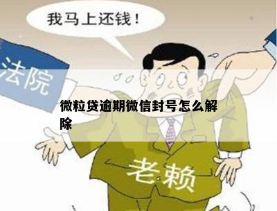 微粒贷逾期微信封号怎么解除