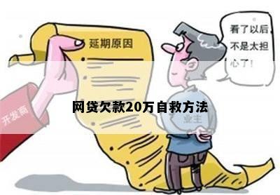 网贷欠款20万自救方法