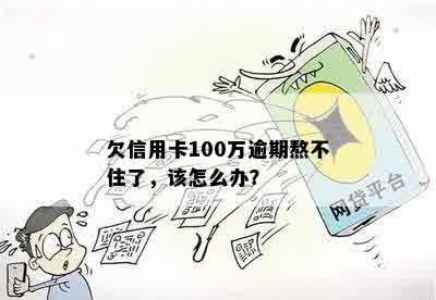 欠信用卡100万逾期熬不住了，该怎么办？