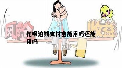 花呗逾期支付宝能用吗还能用吗