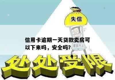 信用卡逾期一天贷款卖房可以下来吗，安全吗？