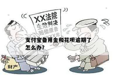 支付宝备用金和花呗逾期了怎么办？