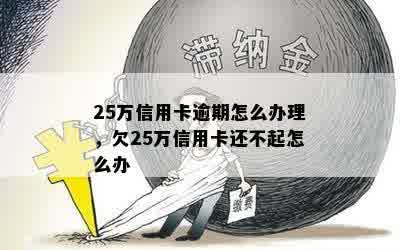 25万信用卡逾期怎么办理，欠25万信用卡还不起怎么办